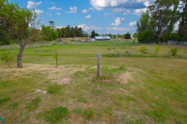 Farm For Sale - NSW - Nimmitabel - 2631 - A Serene Haven  (Image 2)