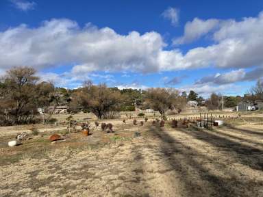 Farm For Sale - NSW - Cooma - 2630 - Impressive Subdivision Potential  (Image 2)