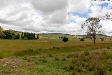 Farm For Sale - NSW - Walcha - 2354 - "Tingaloor". Rural Lifestyle Block Just Minutes from the Heart of Walcha  (Image 2)