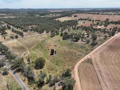 Farm For Sale - NSW - Dubbo - 2830 - Tree Tops Estate - Affordable & Ready to Build  (Image 2)