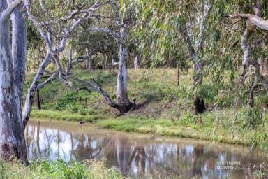 Farm For Sale - QLD - Pratten - 4370 - 20 ACRES OF PRIME RURAL LAND - PERFECT FOR CAMPING, FISHING, AND AGRICULTURE  (Image 2)