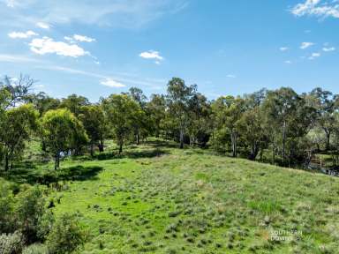 Farm For Sale - QLD - Pratten - 4370 - 20 ACRES OF PRIME RURAL LAND - PERFECT FOR CAMPING, FISHING, AND AGRICULTURE  (Image 2)