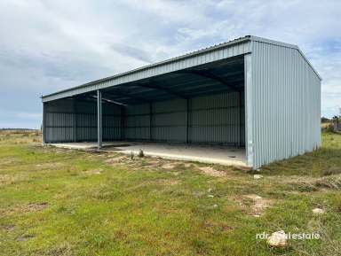 Farm For Sale - NSW - Inverell - 2360 - ROOM TO MOO-VE  (Image 2)