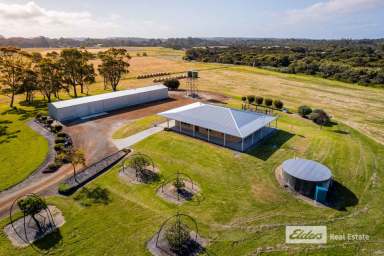 Farm For Sale - WA - Elleker - 6330 - STANDOUT HOBBY FARM, IMMACULATE HOUSE & MASSIVE SHED  (Image 2)