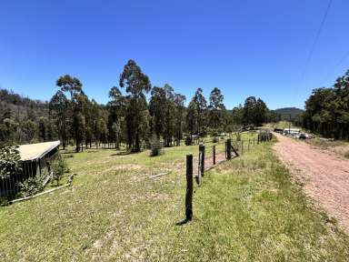 Farm For Sale - NSW - Nymboida - 2460 - 26 ACRES OF BUSHLAND PRIVACY  (Image 2)