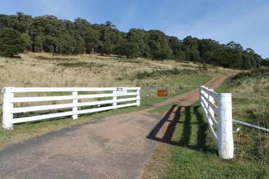 Farm For Sale - NSW - Braidwood - 2622 - Acreage with Accommodation  (Image 2)