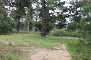 Farm For Sale - NSW - Braidwood - 2622 - BROOKVALE BEACH  (Image 2)