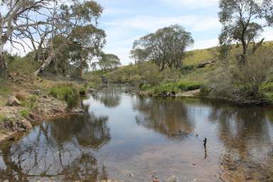 Farm For Sale - NSW - Braidwood - 2622 - 'Glenbrook'  (Image 2)