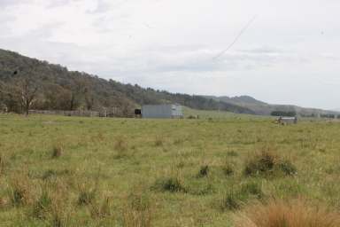 Farm For Sale - NSW - Braidwood - 2622 - 'Glenbrook'  (Image 2)