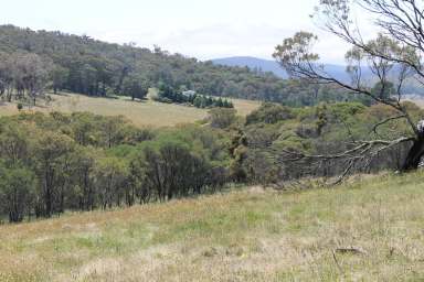 Farm For Sale - NSW - Braidwood - 2622 - 180 ACRES House, sheds........Reduced in price to sell!!!  (Image 2)