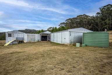 Farm For Sale - NSW - Braidwood - 2622 - 180 ACRES House, sheds........Reduced in price to sell!!!  (Image 2)