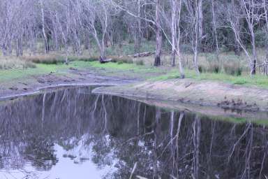 Farm For Sale - NSW - Braidwood - 2622 - GREAT VALUE WEEKENDER-"submit all offers"  (Image 2)