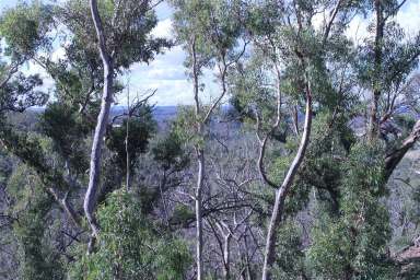 Farm For Sale - NSW - Braidwood - 2622 - George Hill Estate- Building Entitlements  (Image 2)