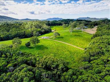 Farm For Sale - QLD - Speewah - 4881 - Heaven in the hills  (Image 2)