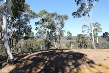 Farm For Sale - NSW - Braidwood - 2622 - Affordable Lifestyle Block  (Image 2)