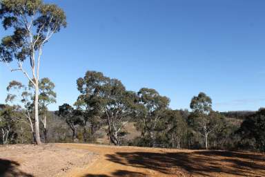 Farm For Sale - NSW - Braidwood - 2622 - Affordable Lifestyle Block  (Image 2)