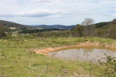 Farm For Sale - NSW - Braidwood - 2622 - BOMBALAWA HILL Vendor finance available!  (Image 2)