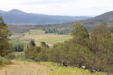 Farm For Sale - NSW - Braidwood - 2622 - BOMBALAWA HILL Vendor finance available!  (Image 2)