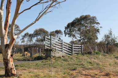 Farm For Sale - NSW - Braidwood - 2622 - Jembaicumbene Creek  (Image 2)