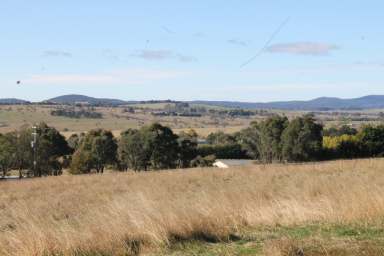 Farm For Sale - NSW - Braidwood - 2622 - BRAIDWOOD'S BEST  (Image 2)