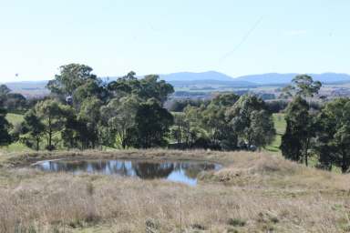 Farm For Sale - NSW - Braidwood - 2622 - BRAIDWOOD'S BEST  (Image 2)