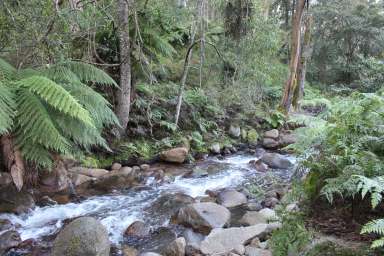 Farm For Sale - NSW - Braidwood - 2622 - Seclusion, Serenity & Solitude  (Image 2)