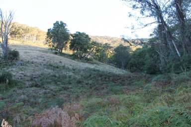 Farm For Sale - NSW - Braidwood - 2622 - Seclusion, Serenity & Solitude  (Image 2)