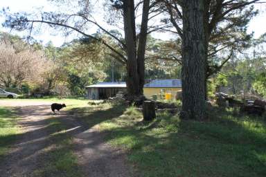 Farm For Sale - NSW - Braidwood - 2622 - Harolds Cross  (Image 2)