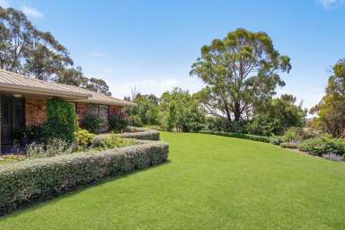 Farm For Sale - NSW - Orange - 2800 - Potential for huge returns.  (Image 2)