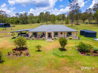 Farm For Sale - QLD - Horse Camp - 4671 - Suitable for Many, Wonderful Property at Gin Gin  (Image 2)