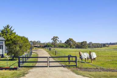 Farm For Sale - VIC - Clunes - 3370 - Small acreage - Equine lifestyle  (Image 2)