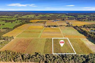 Farm For Sale - WA - Cowaramup - 6284 - Exclusive Vineyard Ownership with Holiday Access  (Image 2)