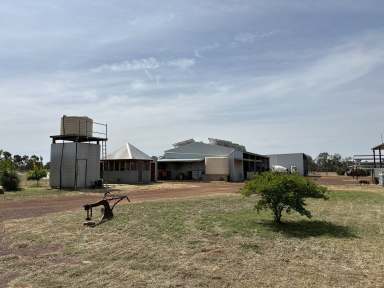 Farm For Sale - NSW - Gunderbooka - 2840 - Bookaloo Station, Gunderbooka  (Image 2)