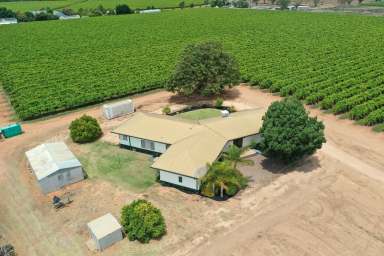 Farm For Sale - VIC - Nichols Point - 3501 - IT HAS BOTH LOCATION & SIZE  (Image 2)