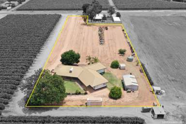 Farm For Sale - VIC - Nichols Point - 3501 - IT HAS BOTH LOCATION & SIZE  (Image 2)