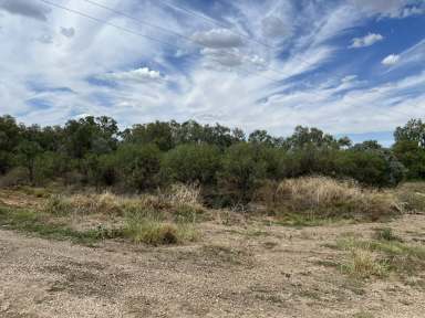 Farm For Sale - NSW - Walgett - 2832 - Lot 3 Warrena Street, Walgett  (Image 2)