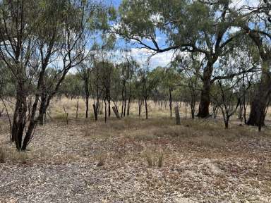 Farm For Sale - NSW - Walgett - 2832 - Lot 3 Warrena Street, Walgett  (Image 2)