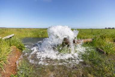 Farm For Sale - SA - Kingston Se - 5275 - Stand-alone property - artesian water flood bays - unbelievable resource!  (Image 2)