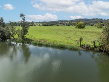 Farm For Sale - NSW - Berry - 2535 - 'Wainu Glen'  (Image 2)