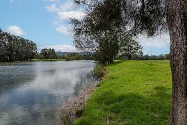 Farm For Sale - NSW - Berry - 2535 - 'Wainu Glen'  (Image 2)