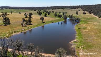 Farm For Sale - WA - Mount Observation - 6302 - "Mt Observation Rise"  (Image 2)