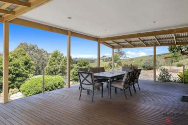 Farm For Sale - VIC - Mirboo North - 3871 - LIFESTYLE PERFECTION ON 3.8 ACRES  (Image 2)