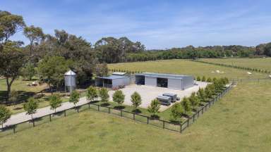 Farm For Sale - VIC - Merricks North - 3926 - Premium Farming & Lifestyle Opportunity  (Image 2)