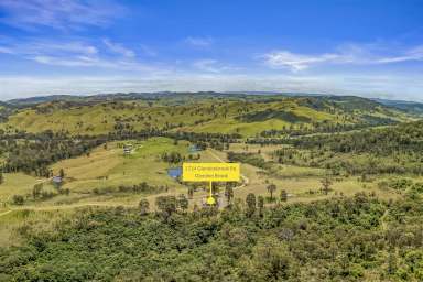 Farm For Sale - NSW - Singleton - 2330 - The Views are Something Special.......114.9 Hectares (283 Acres)*  (Image 2)