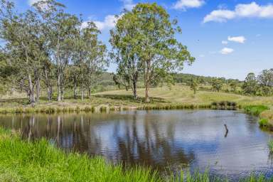 Farm For Sale - NSW - Singleton - 2330 - The Views are Something Special.......114.9 Hectares (283 Acres)*  (Image 2)