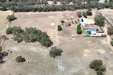 Farm For Sale - WA - Muluckine - 6401 - Rural Lifestyle/Equine Property Close to Northam  (Image 2)