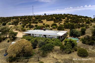 Farm For Sale - WA - East Bowes - 6535 - "Rookery Nook"  (Image 2)