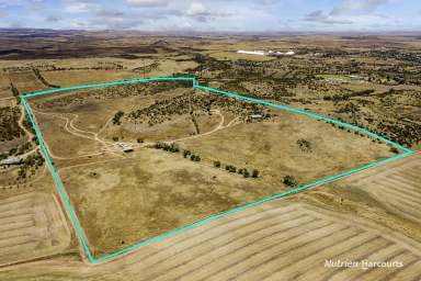 Farm For Sale - WA - East Bowes - 6535 - "Rookery Nook"  (Image 2)