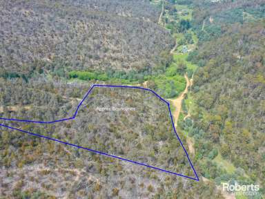 Farm For Sale - TAS - Magra - 7140 - Beautiful, Serene Bush Block  (Image 2)