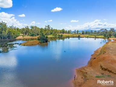 Farm For Sale - TAS - Cleveland - 7211 - Blue chip rural living at it's best! 36 Ha's, lovely homestead, huge dam, 6 pasture paddocks, 4 large sheds, all 30 minutes South of Launceston.  (Image 2)